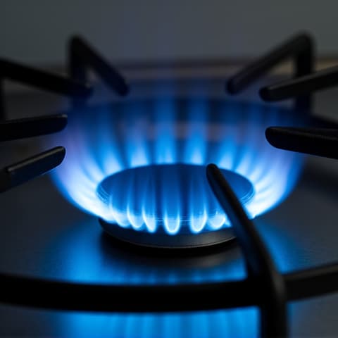 Adjusting a gas burner valve on a cooktop, ensuring proper flame distribution after repair in Natomas